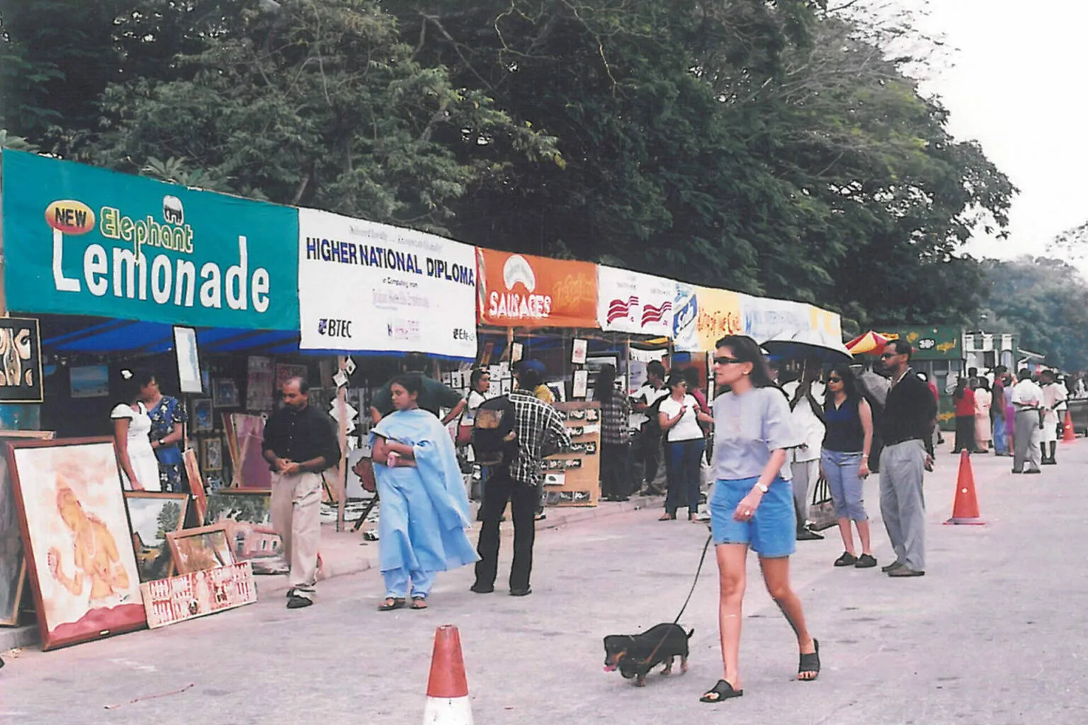 A woman leisurely walks her dog, both appearing happy in a vibrant outdoor setting.